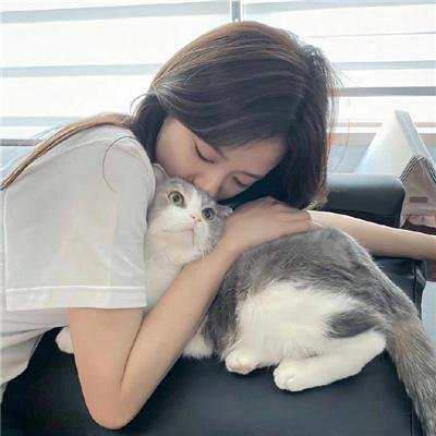 快餐车粤语